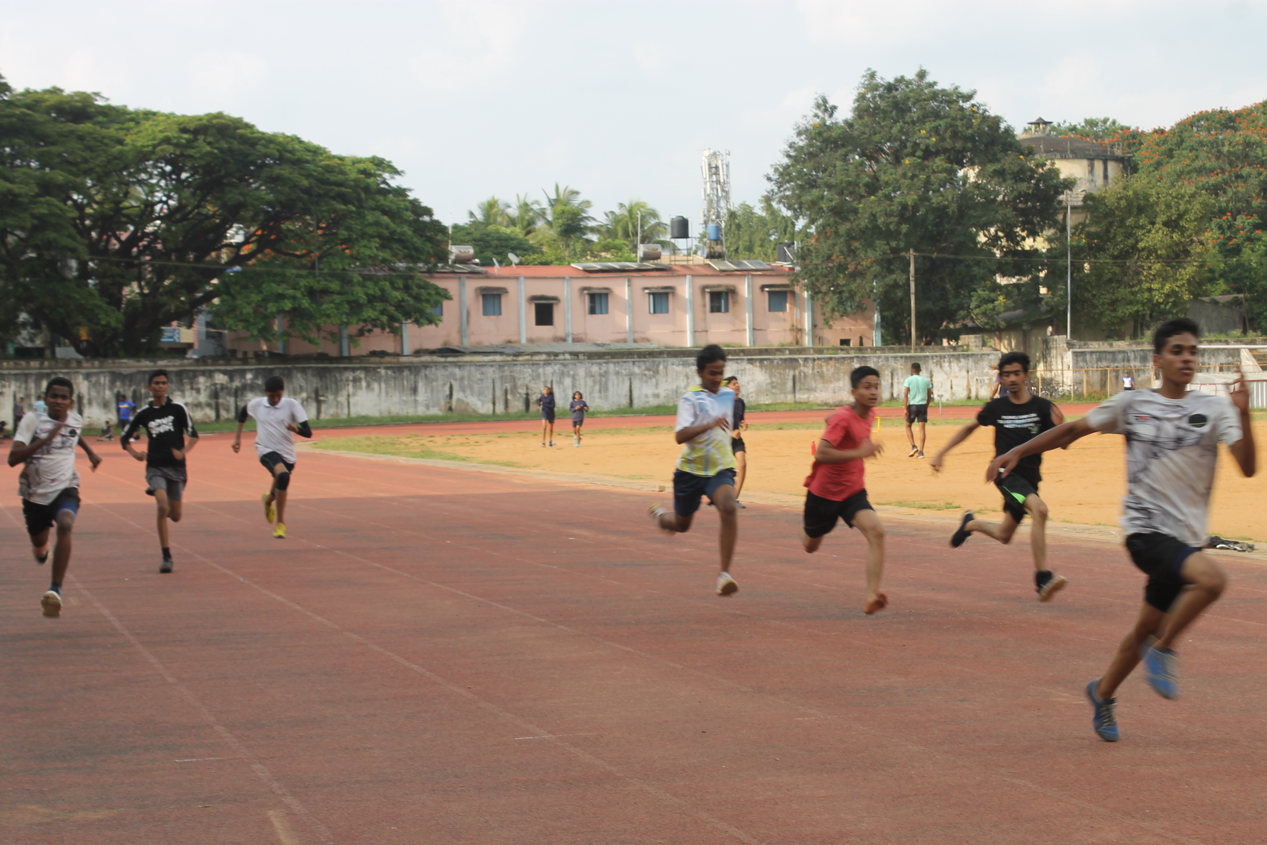 Cricket Match